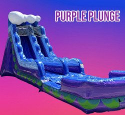 Purple Plunge